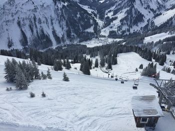 Panoramic view of pine trees on snowcapped mountains
