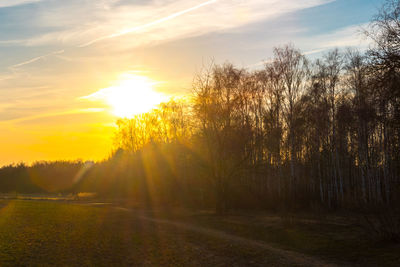 Trees on field against sky during sunset