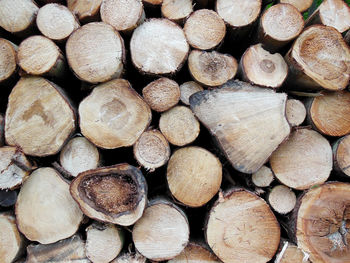 Full frame shot of logs in forest