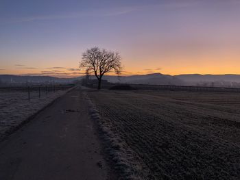 Road amidst bare trees on field against sky during sunset