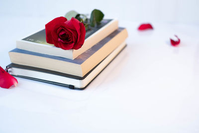 Close-up of red rose on table