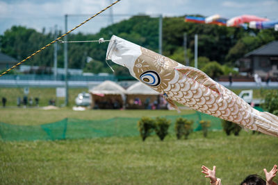 Close-up of fish streamers on field