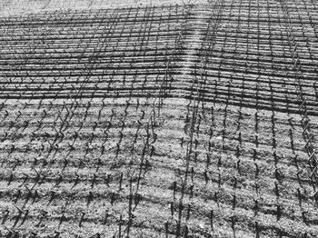 Full frame shot of tire tracks on field
