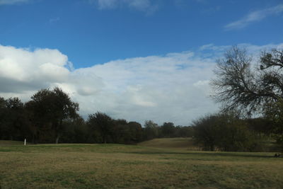 Trees on field against sky