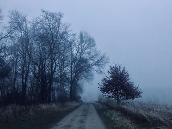 Road amidst bare trees on field against clear sky