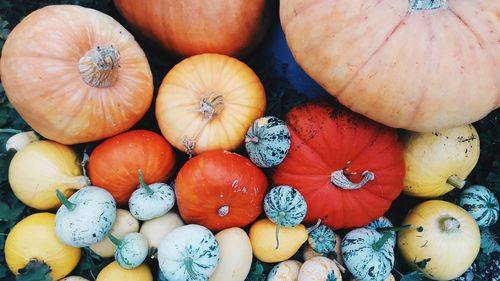 Full frame shot of colorful pumpkins for sale at market stall