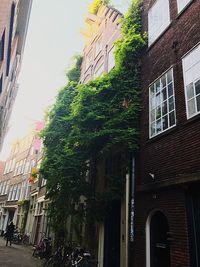 Low angle view of building against sky