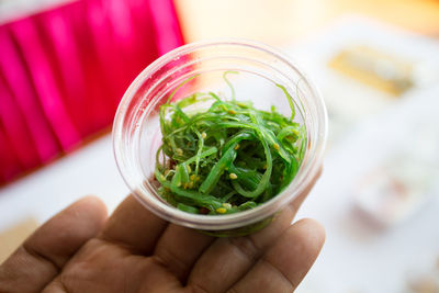 Close-up of person holding food