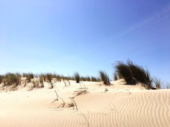 Scenic view of desert against clear blue sky