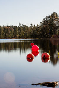 Red lake against trees and clear sky