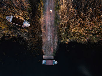 Blurred motion of car by trees