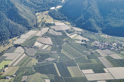 High angle view of agricultural field