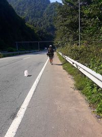 Rear view of woman on road amidst trees