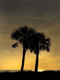 Silhouette tree on a beach  against sky during sunset