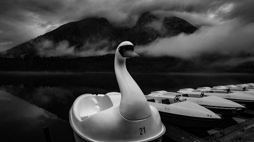 Swan on lake against mountain
