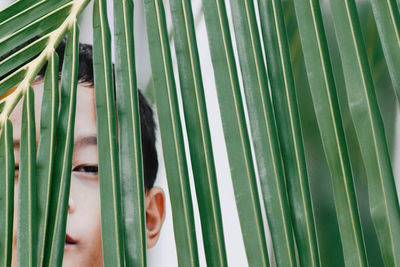 Close-up portrait of boy peeking through leaves