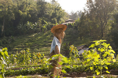 Woman standing by plants on land