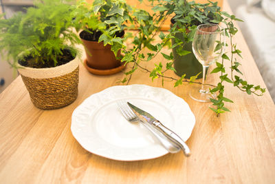 High angle view of potted plant on table