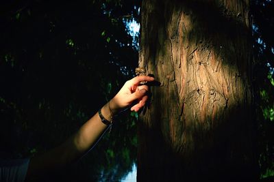 Close-up of hand on tree in forest