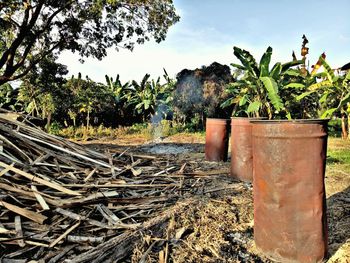 Stack of logs on field against trees