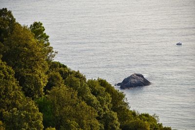 High angle view of rocks by sea