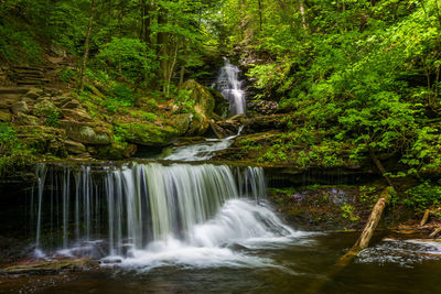 Scenic view of waterfall in forest