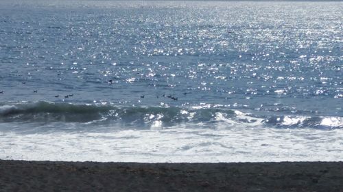 Scenic view of beach