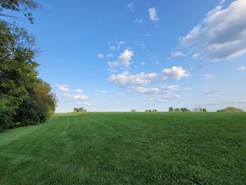 Scenic view of field against sky