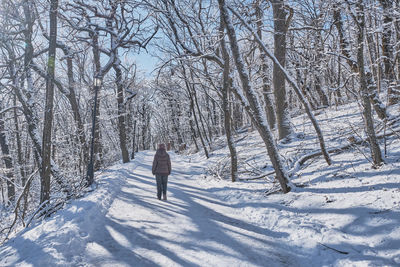 Rear view of person walking on snow covered land