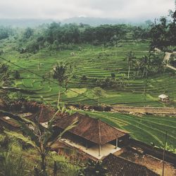Scenic view of field against cloudy sky