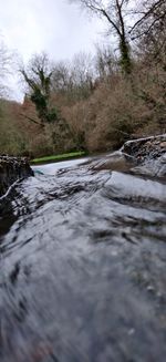 Surface level of river flowing in forest against sky