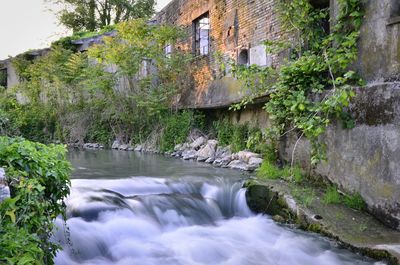 Scenic view of waterfall