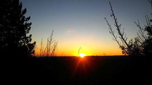 Silhouette trees on field against orange sky