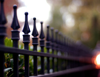 Close-up of metallic fence