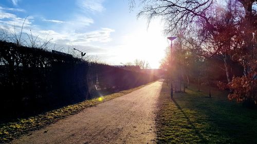 Road amidst trees against sky