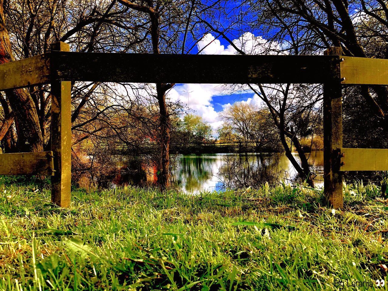 SCENIC VIEW OF LAKE AMIDST TREES