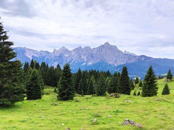 Scenic view of trees and mountains against sky