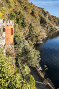 Foliage with red leaves near the lake maggiore in maccagno.