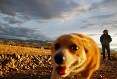 Close-up of woman with dog at sunset