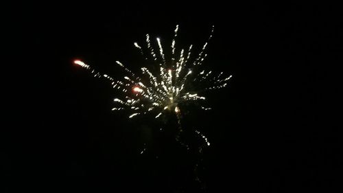 Low angle view of firework display against sky at night