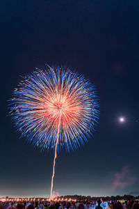 Low angle view of firework display at night