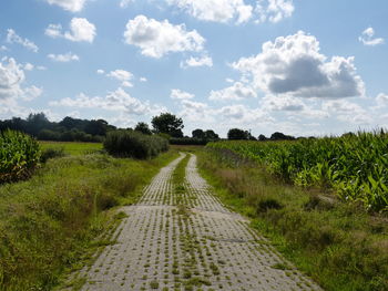 Dirt road amidst plants on field against sky