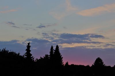 Low angle view of silhouette trees against sky