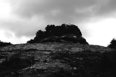 Low angle view of trees against cloudy sky