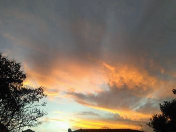 Low angle view of silhouette trees against dramatic sky