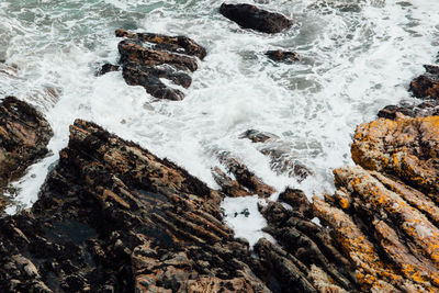 Close-up of rocky shore