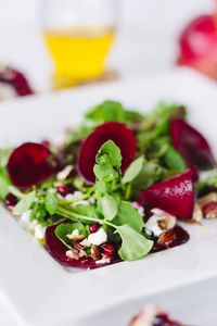 Close-up of food in plate