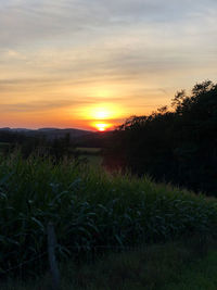 Scenic view of field against sky during sunset