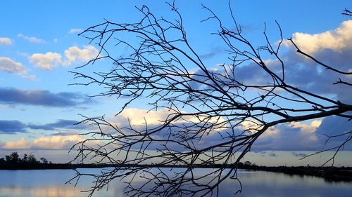 Silhouette bare tree by lake against sky during sunset