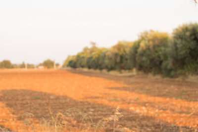 View of field against clear sky